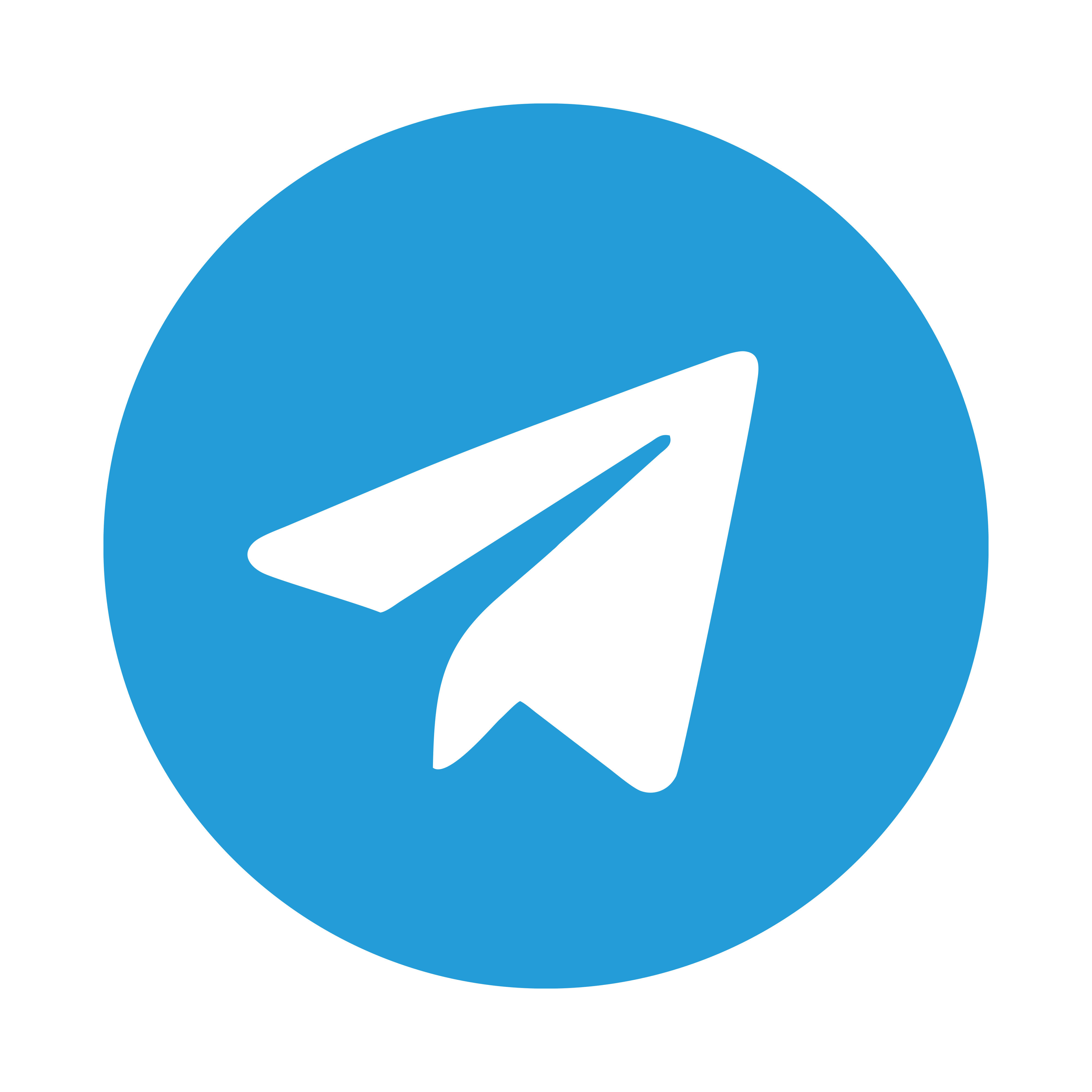 telegram_logo
